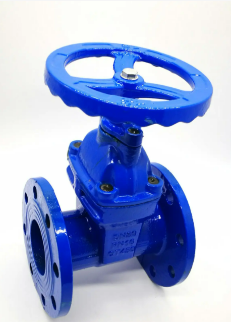 给大家讲一下什么是弹性座封闸阀?