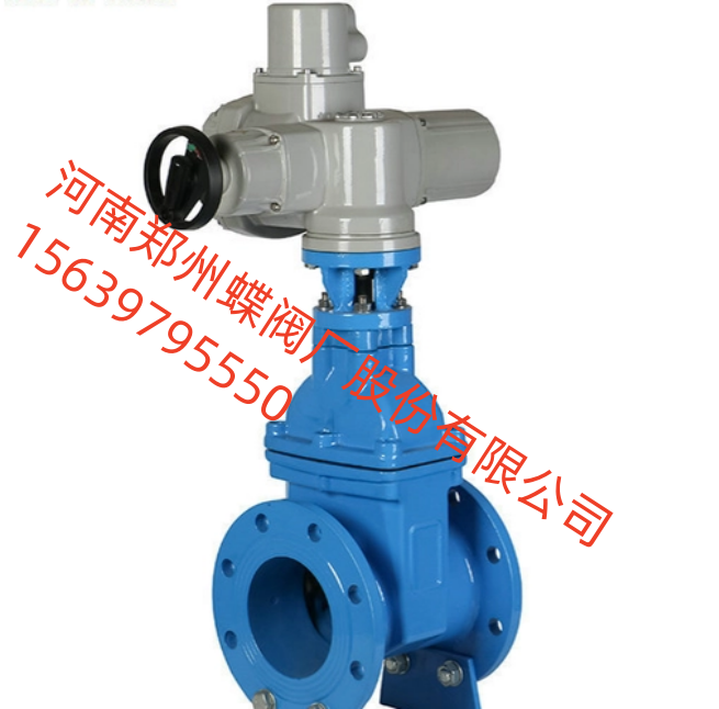 河南阀门之乡,展销会进行中